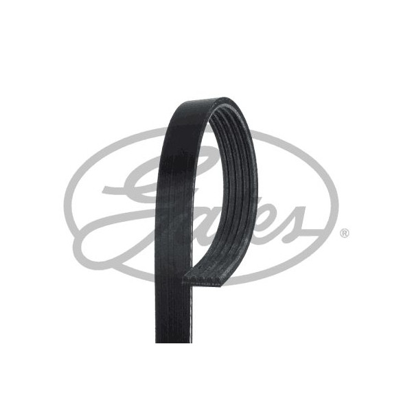 MICRO-V MULTI-RIBBED BELT image
